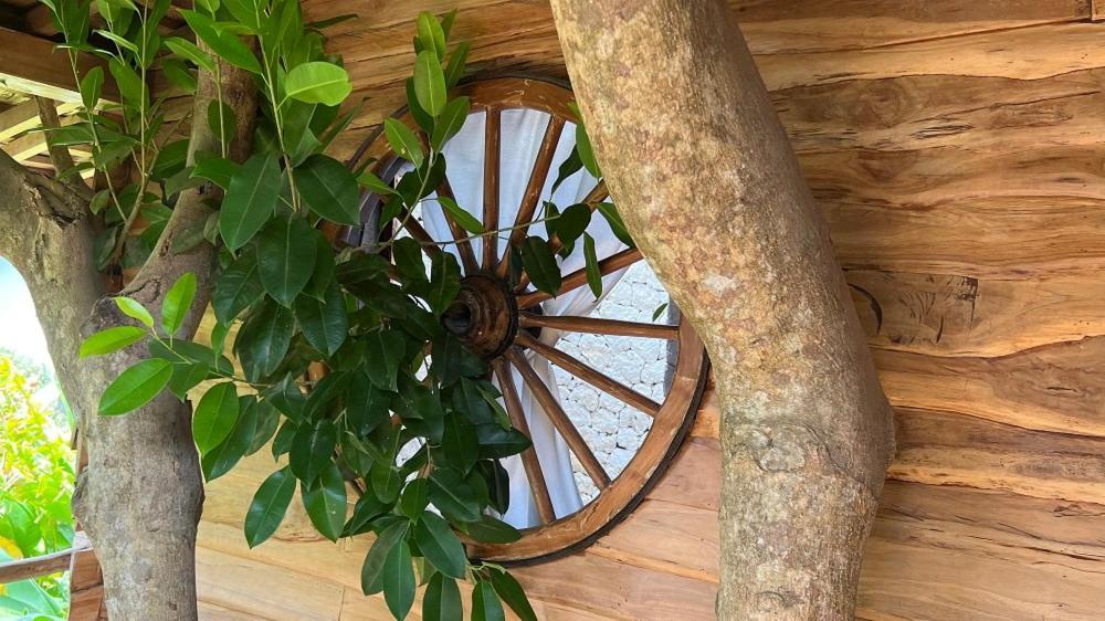 Roots Tree House Villa Uluwatu Rom bilde
