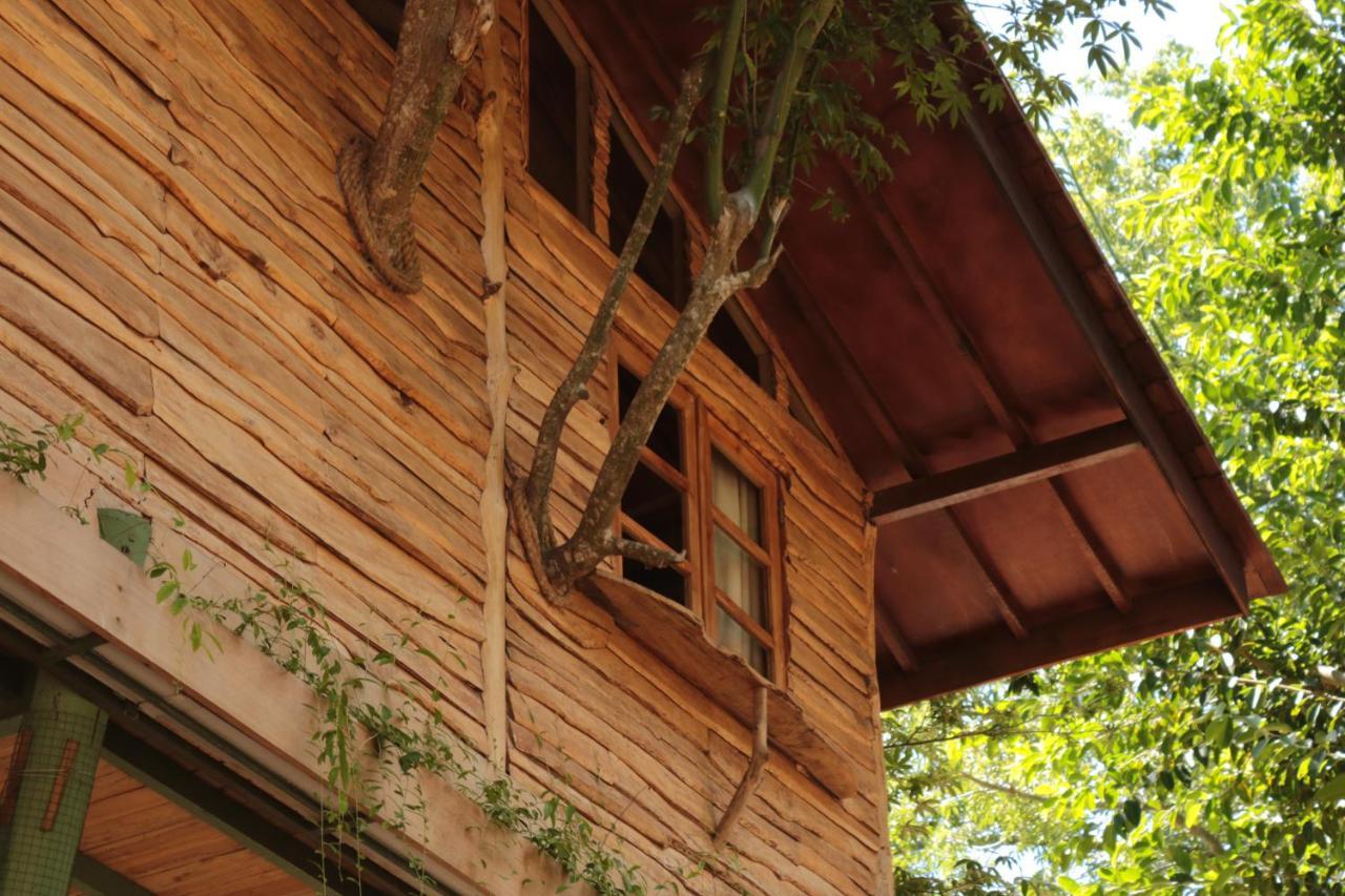 Roots Tree House Villa Uluwatu Eksteriør bilde